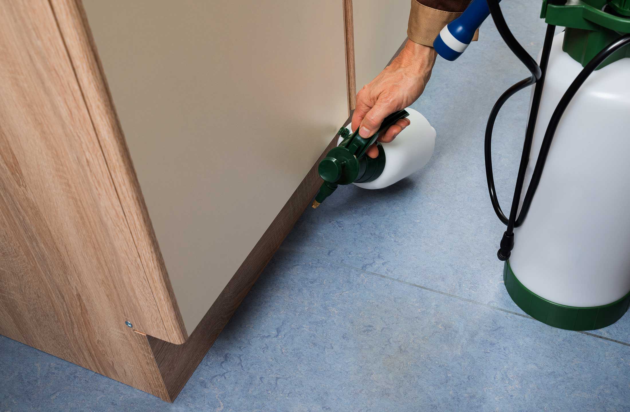 Pest Control & Insulation Berlin, Conway, NH Presidential Pest Control