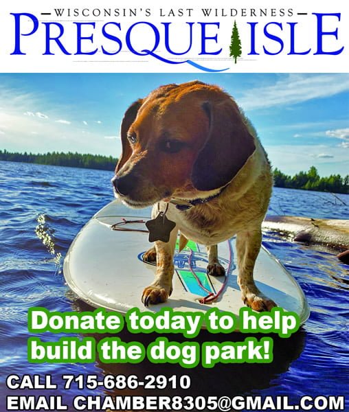 Are Dogs Allowed In Presque Isle Park