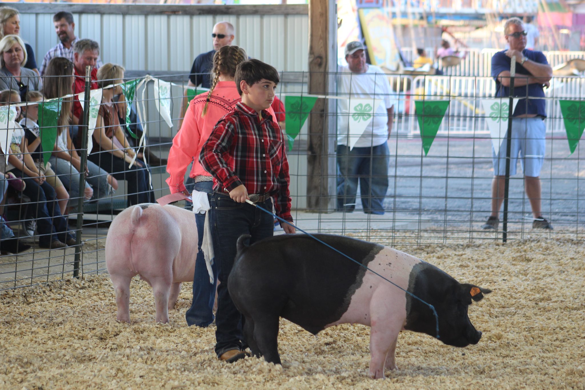 4H livestock show highlights ster Parish Fair Minden PressHerald