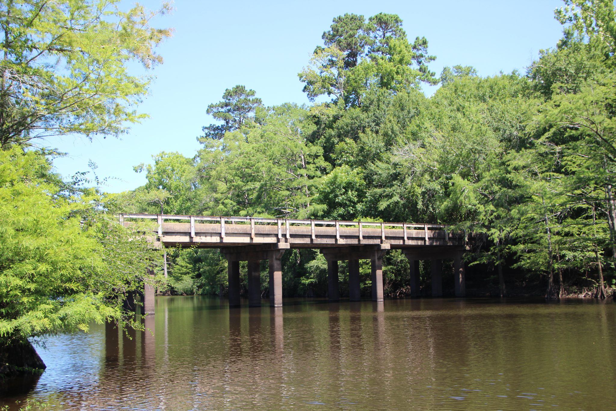 Lighting up the bayou Minden PressHerald