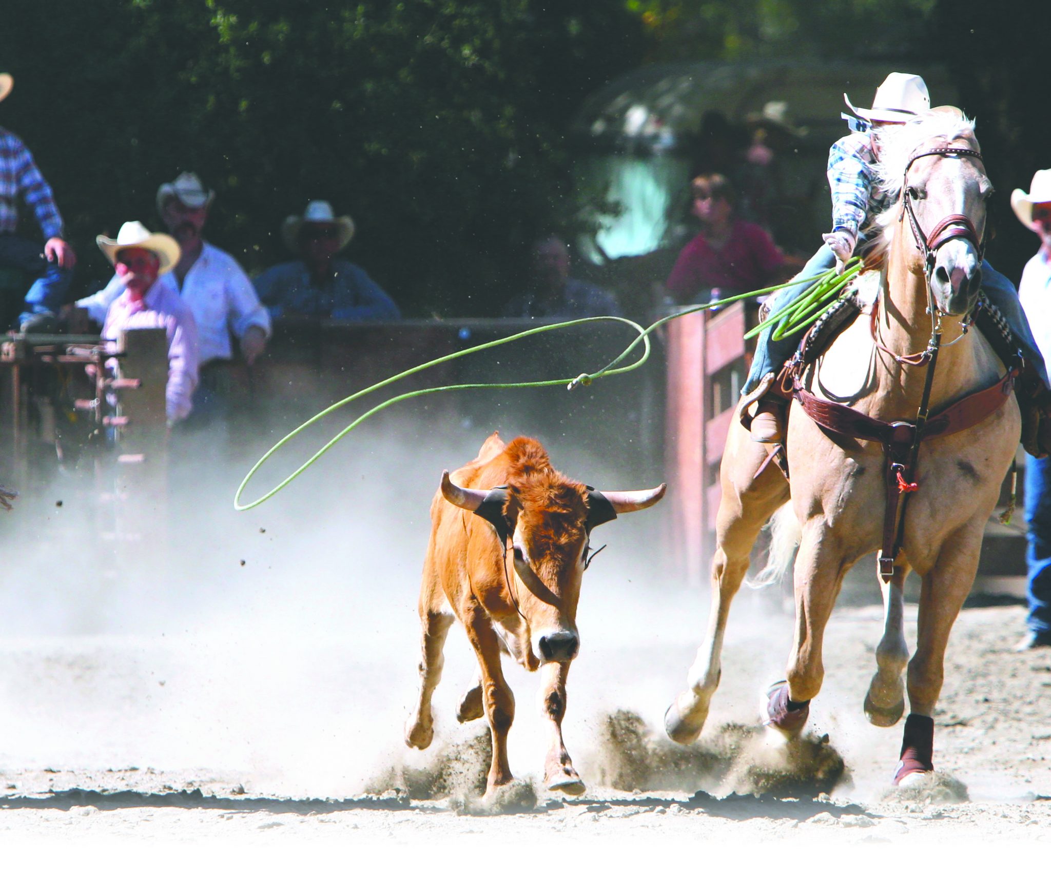 Springhill Rodeo returns Sept. 1921 Minden PressHerald