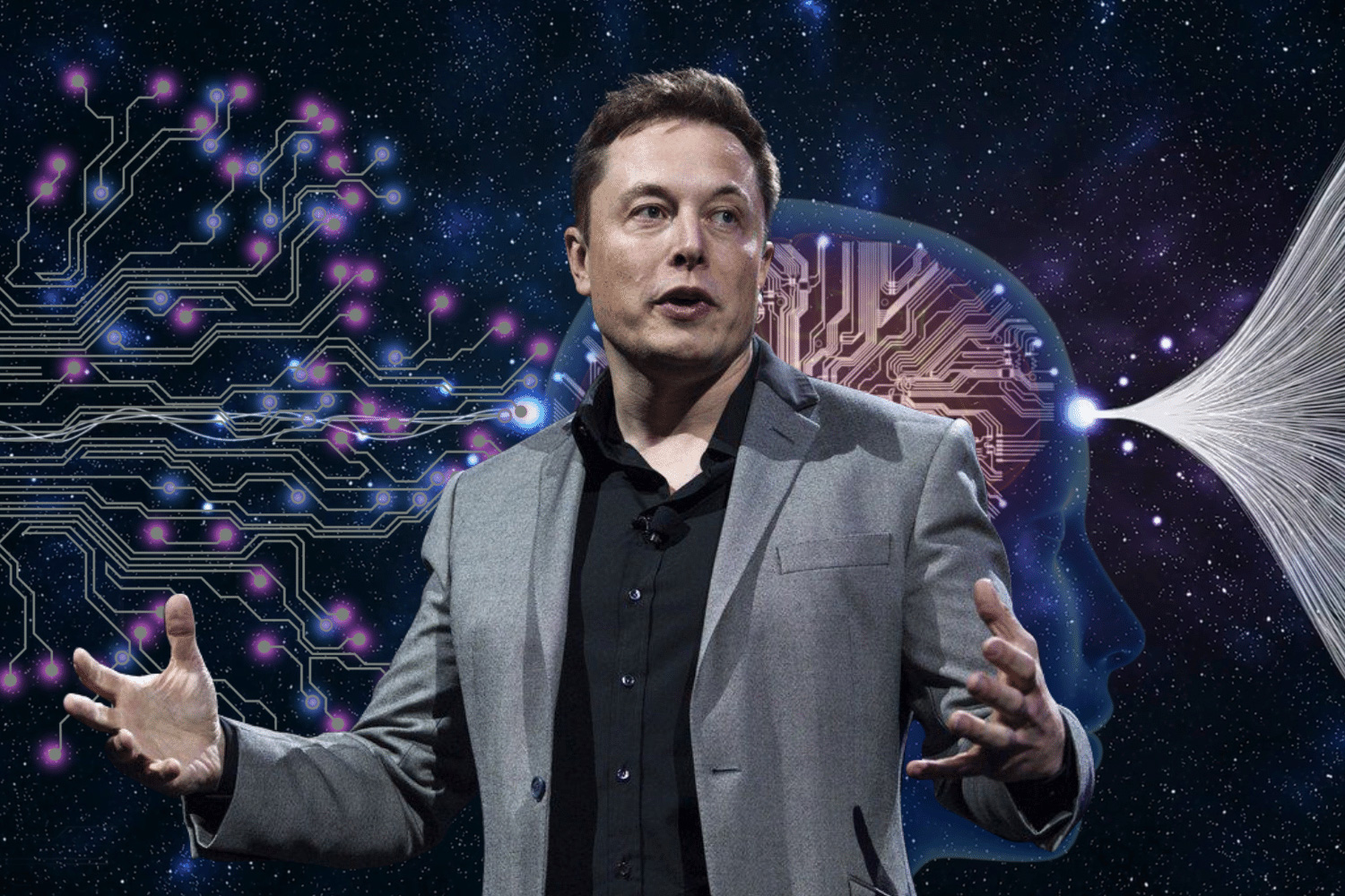 Elon Musk's Thoughts on Artificial Intelligence and AI Safety