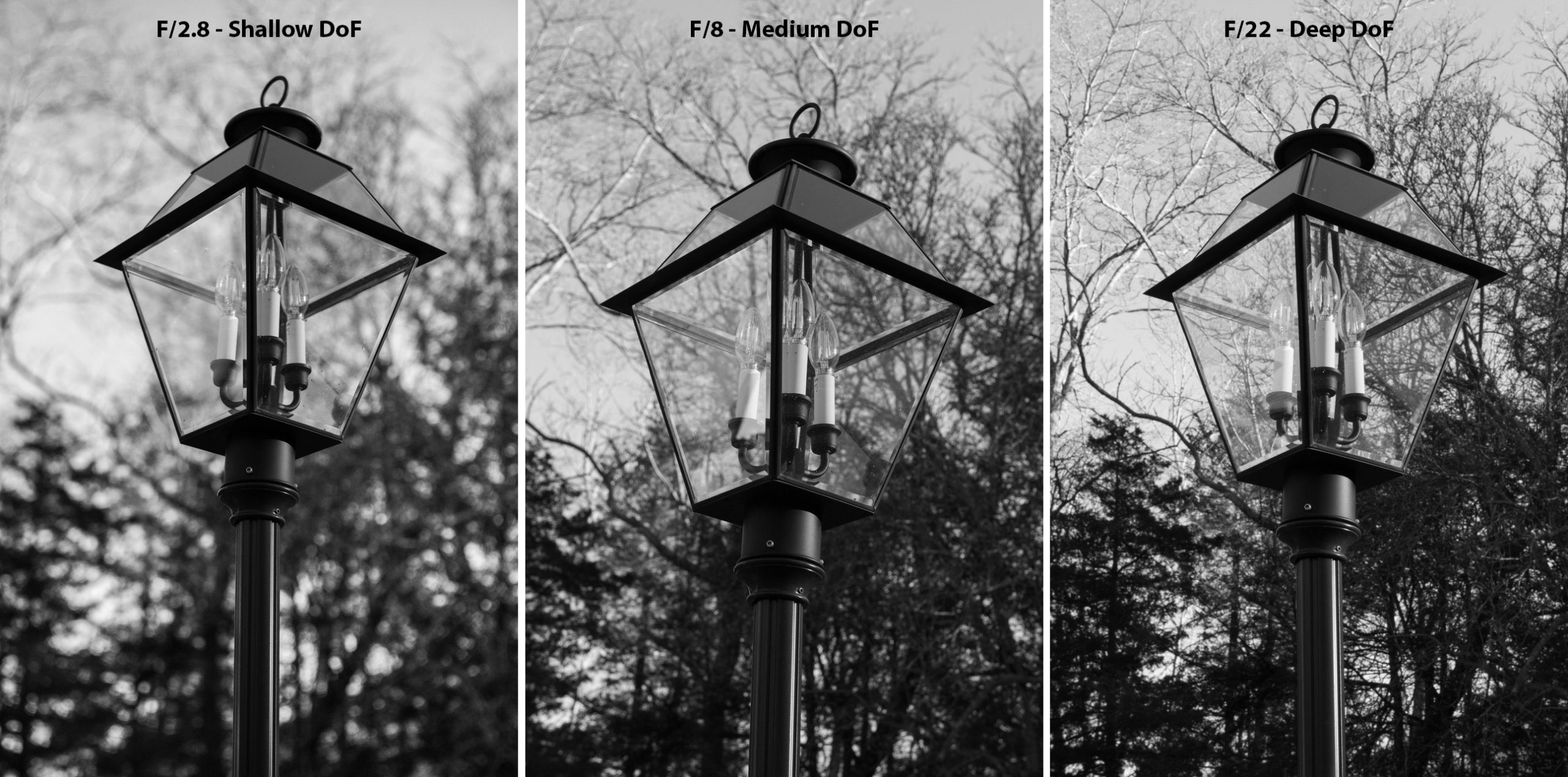 Depth of Field Photography What, How, Why