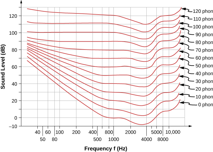 Auditory Sensitivity Function Introduction to Sensation and Perception