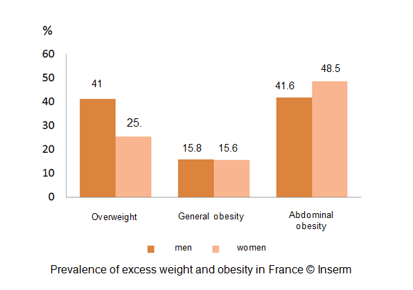 The French Are Overweight – Confirmed By The Constances Cohort | Newsroom | Inserm