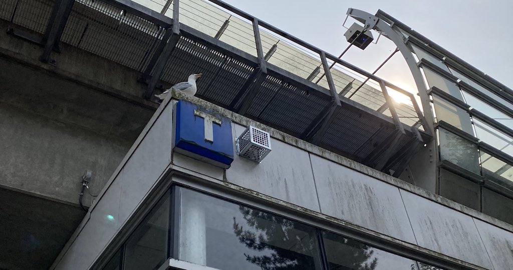 HighPitch Noise Device Installed to Keep Poor People Away From