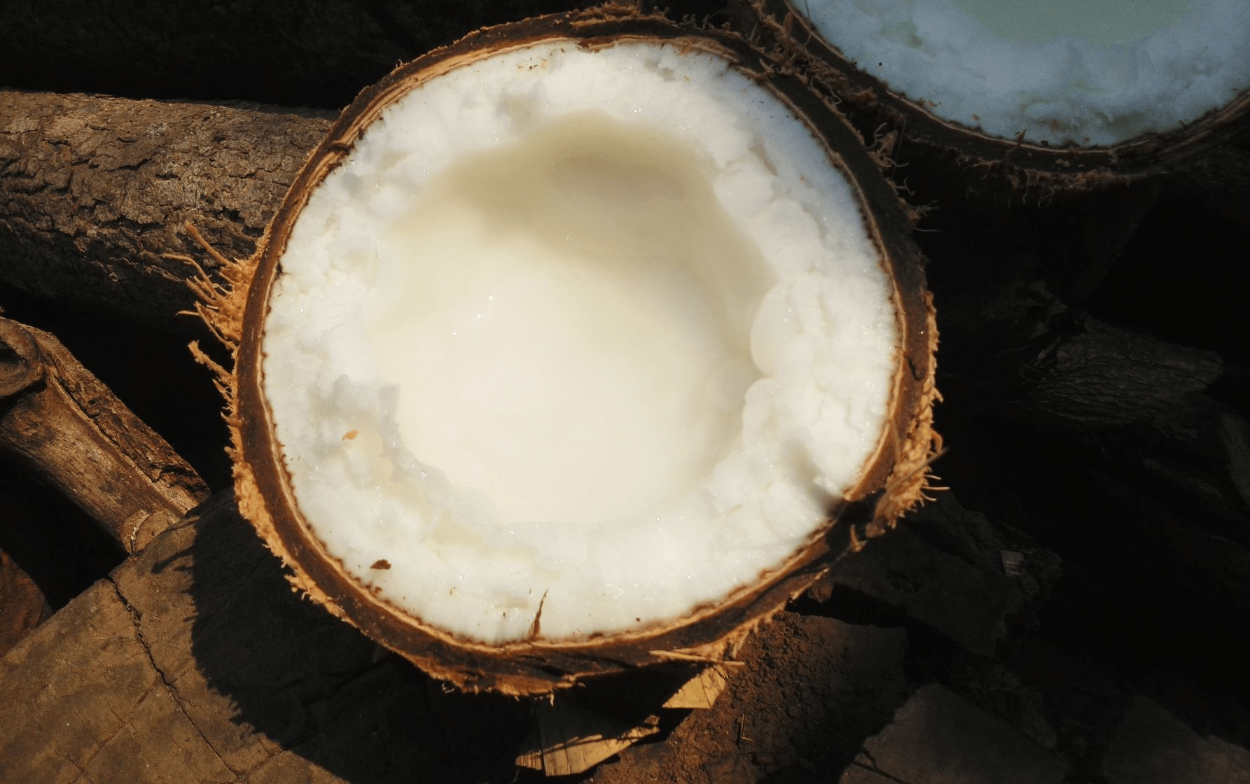 The Makapuno Project has Begun to Produce Biomass Fuel Through the