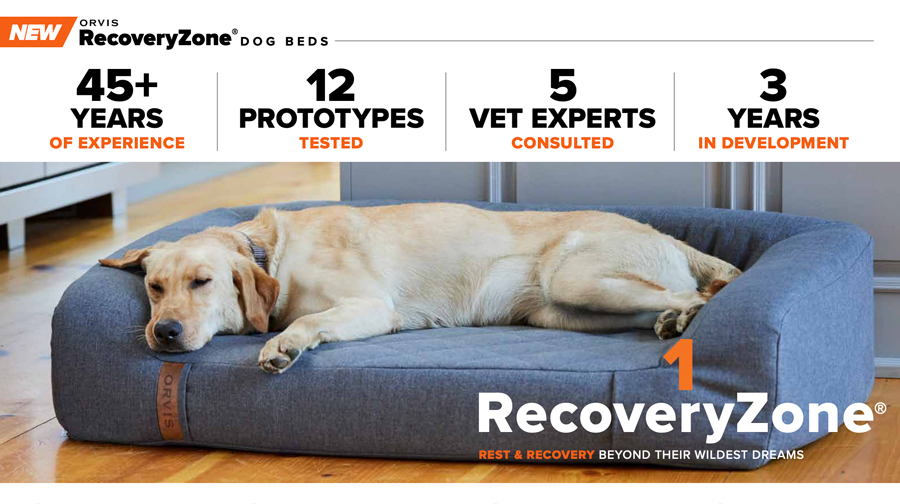Orvis Launches Groundbreaking Therapeutic RecoveryZone® Dog Beds