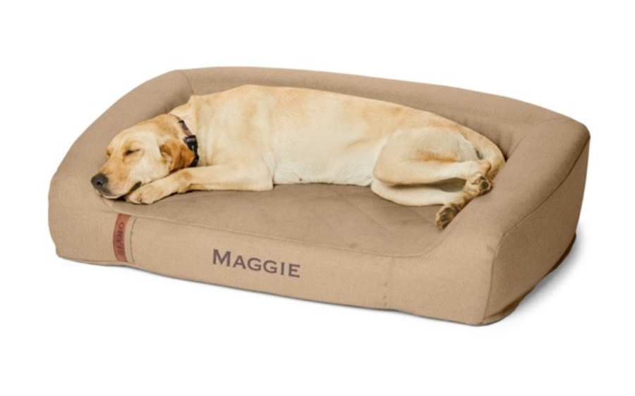 Orvis Launches Groundbreaking Therapeutic RecoveryZone® Dog Beds