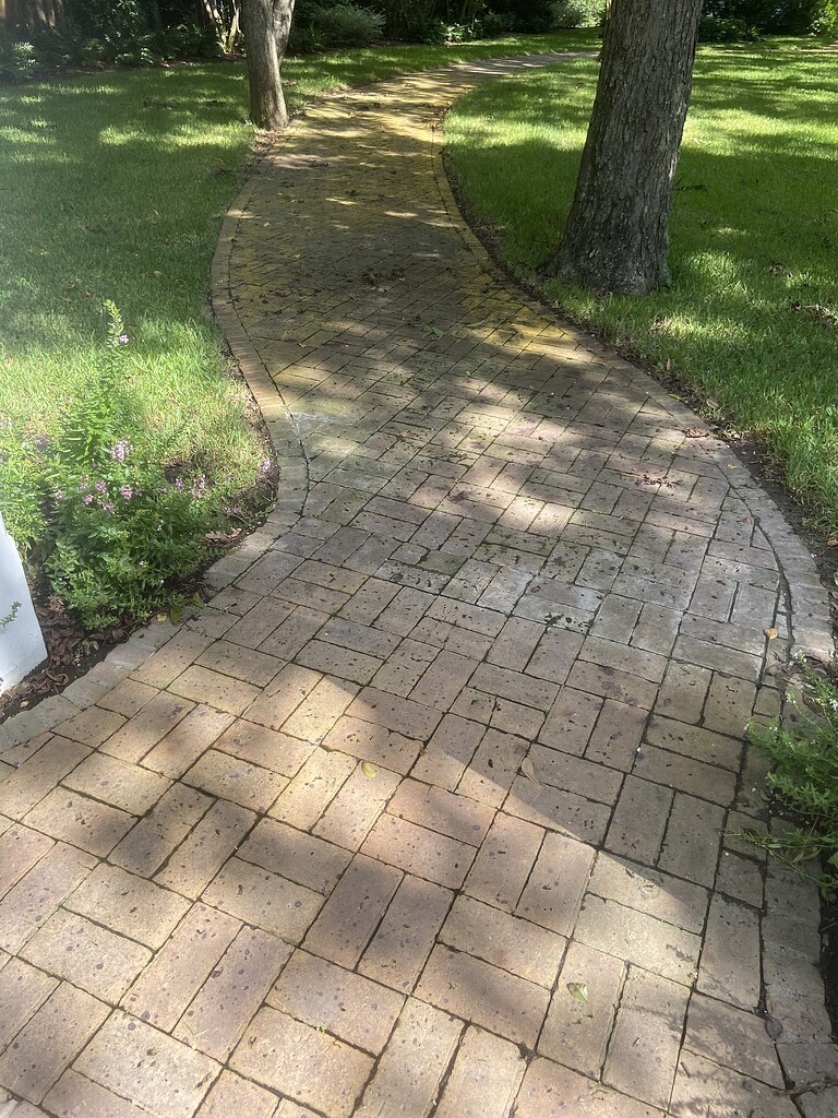 Heavy Algae Brick Pavers Residential Pressure Washing Resource