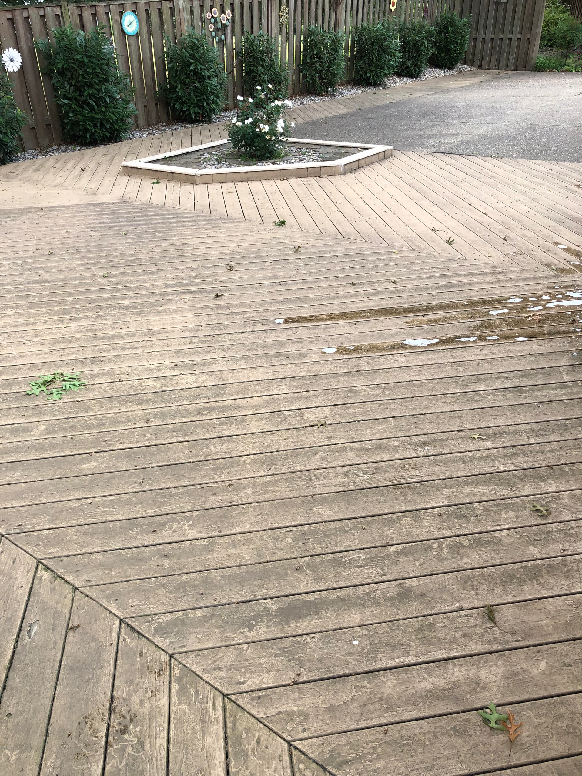 Surface cleaning painted deck Residential Pressure Washing Resource