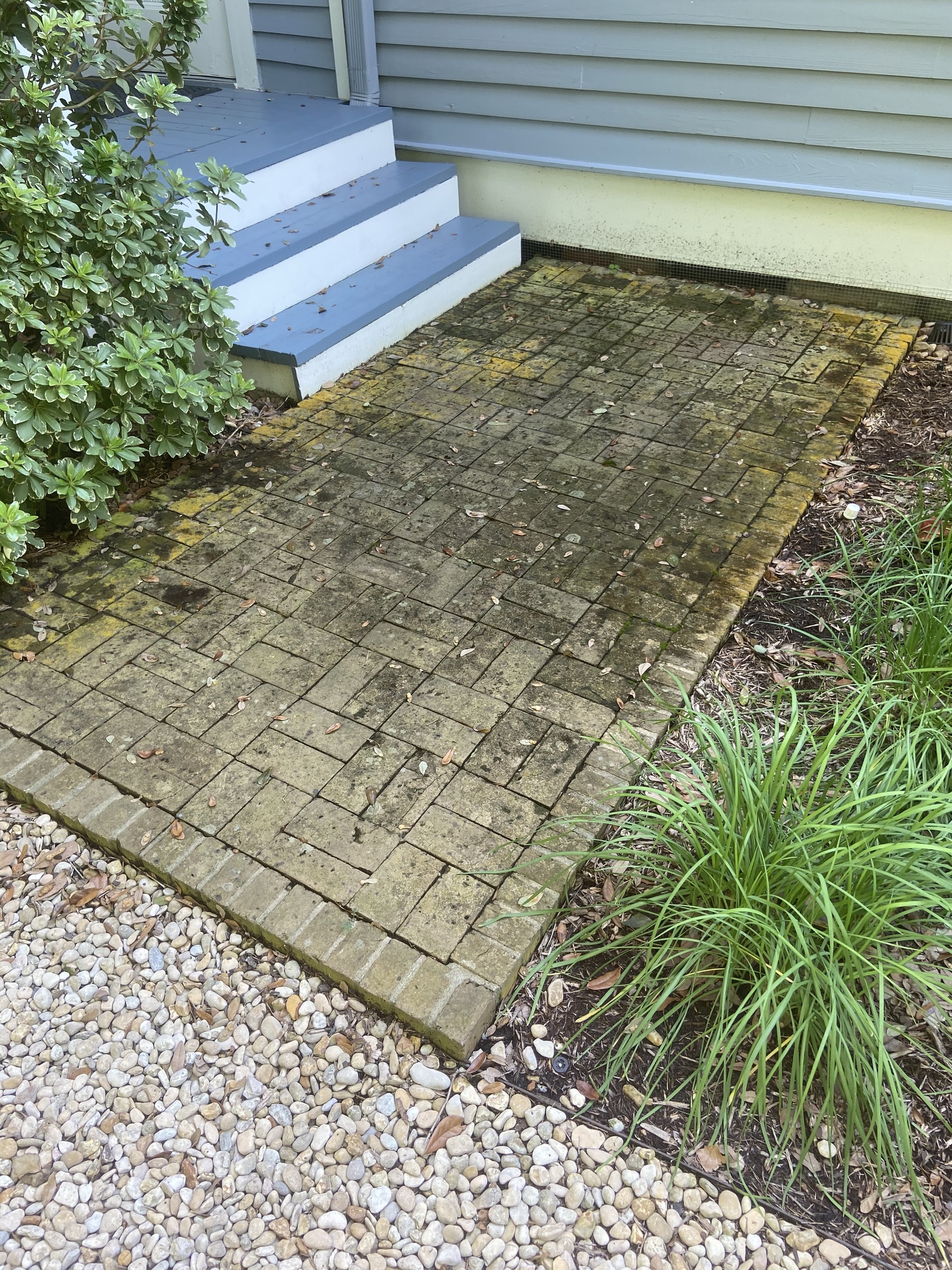 Heavy Algae Brick Pavers Residential Pressure Washing Resource