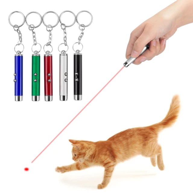 Cat Laser Pointer Toy Prestige Pamper Hamper, UK