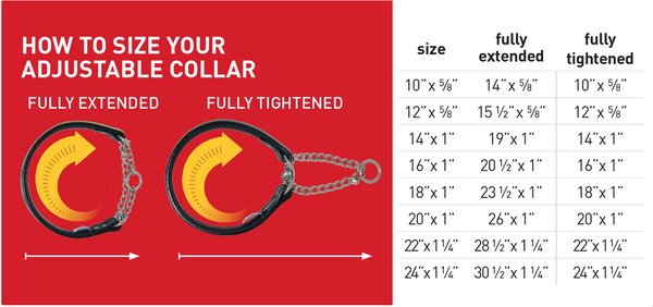 Rio Leather Martingale Dog Collar | PrestigeProductsEast.com