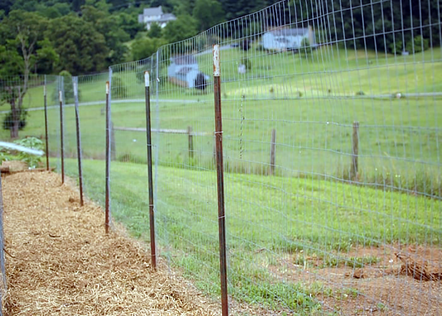 How to Build a Chicken Wire Fence Chicken Farmers Union