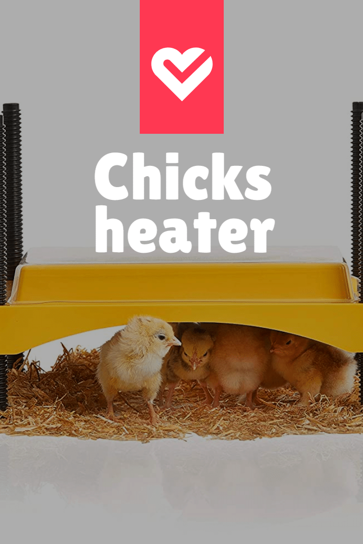 Best Chicken Coop Heaters for 2022 Chicken Farmers Union