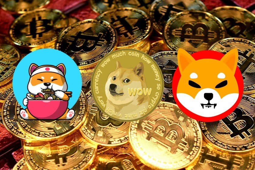 Top 5 Meme Coins You Can Consider Buying Prestmit