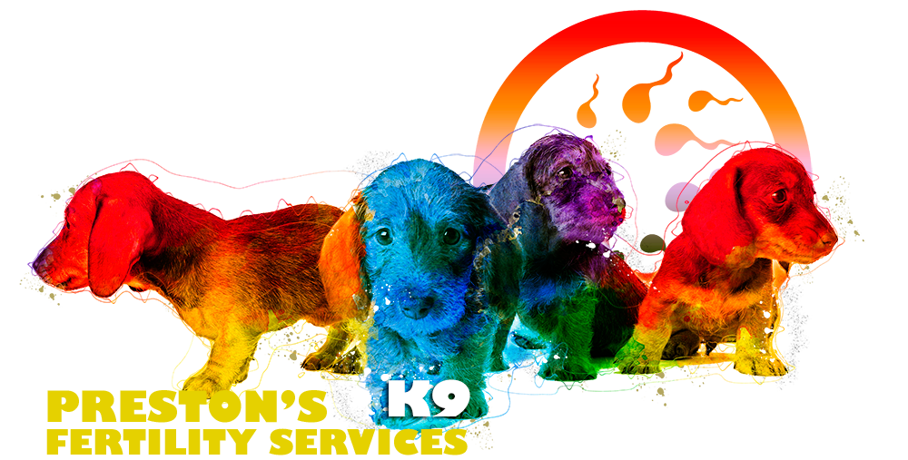 Canine Fertility Clinic in Preston Preston's K9 Dog Breeding Services