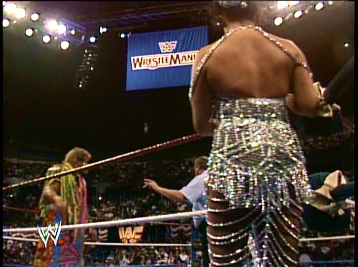 Sensational Sherri Martel – Preston Ward Condra's Windows Of Fun