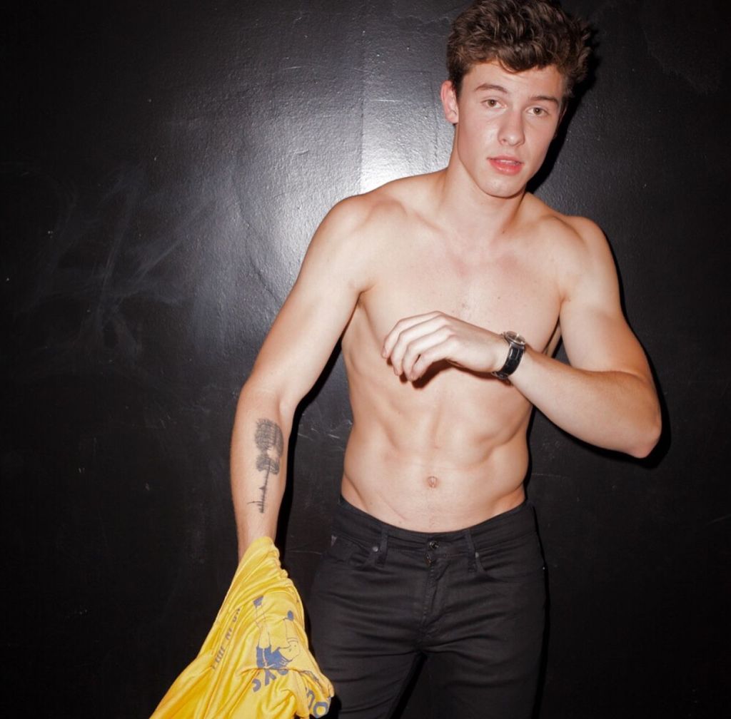 shawn mendes nude – Preston Ward Condra's Windows Of Fun
