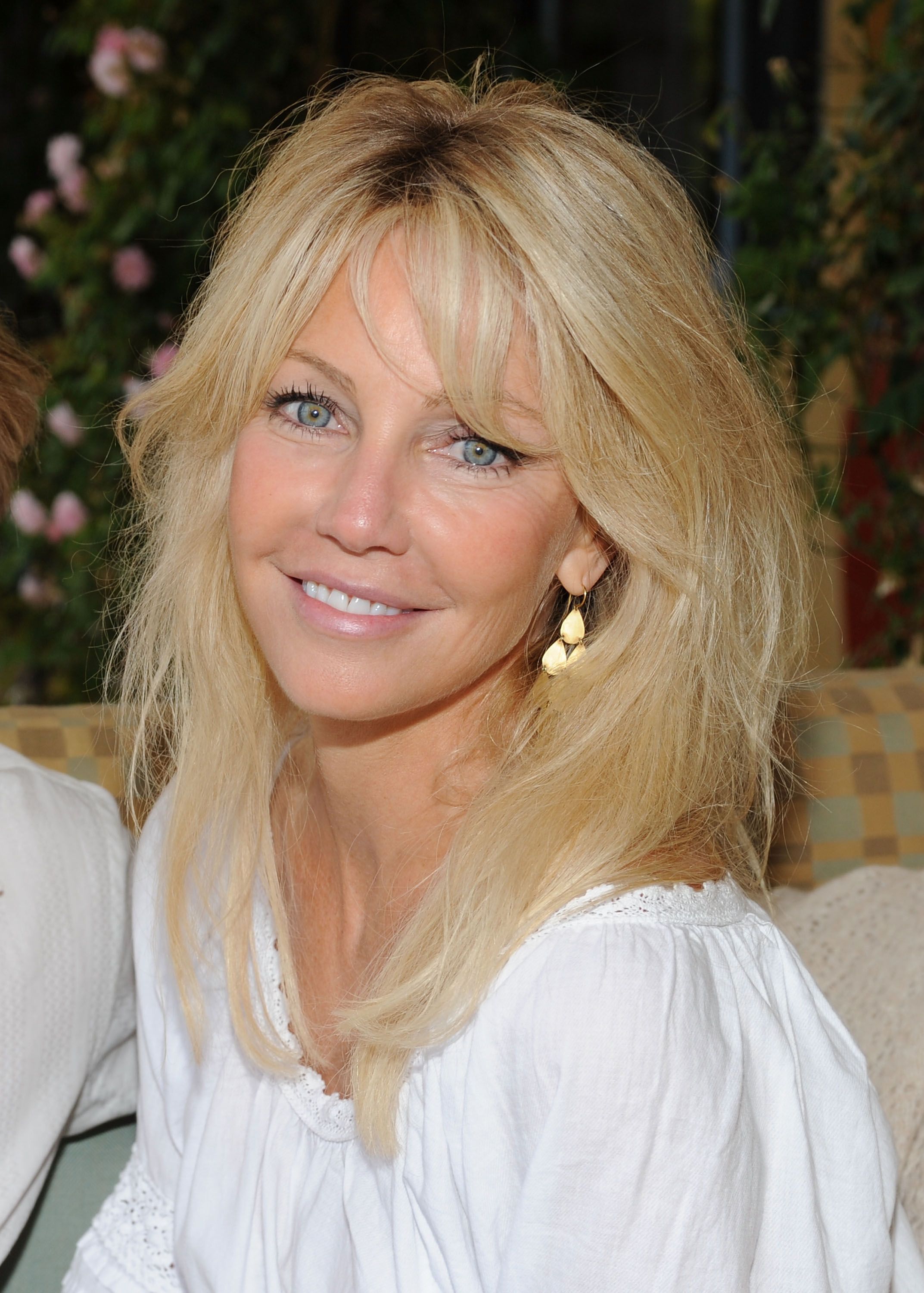 heather locklear face Preston Ward Condra's Windows Of Fun