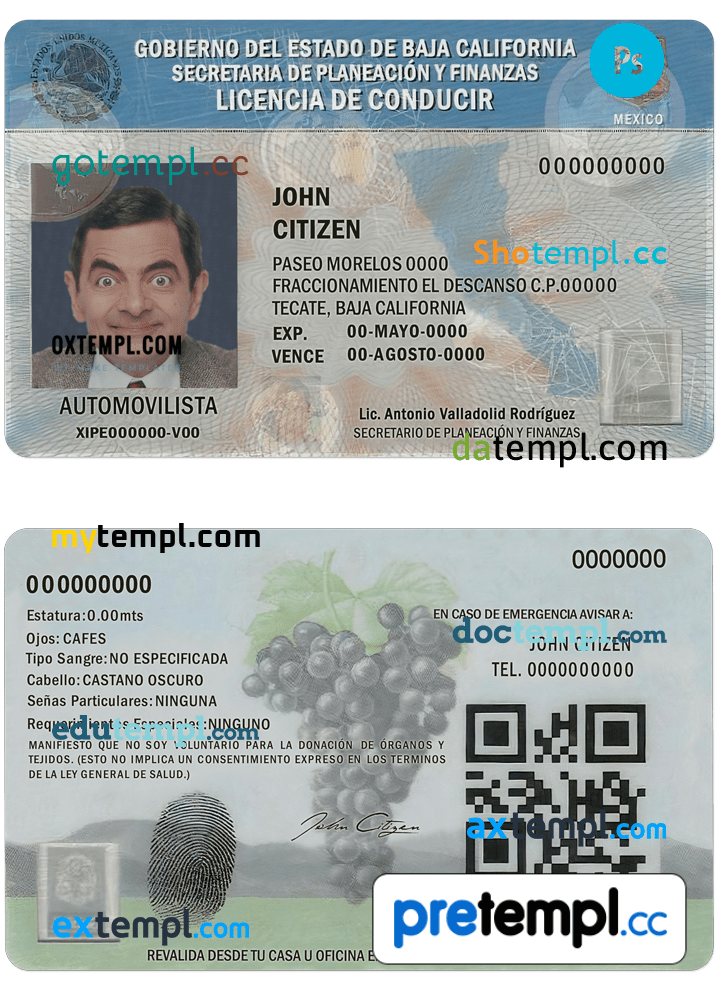 Mexican Baja California driver license download PSD example, fully