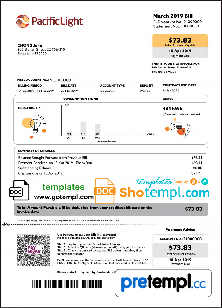 Singapore Pacific Light electricity utility bill download example in