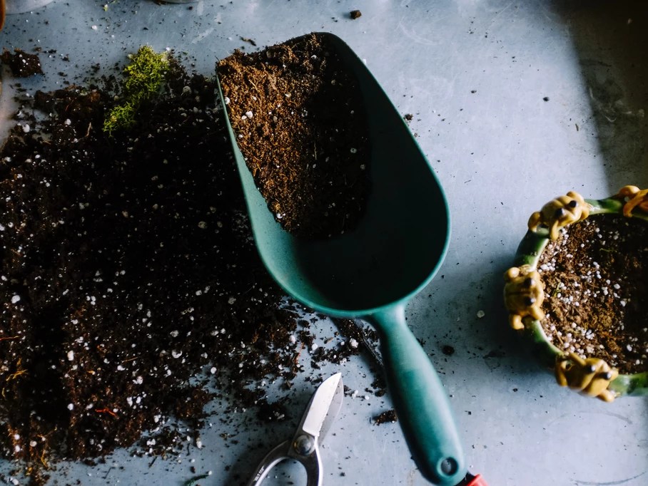 Can we compost our fabric? Yes, we can! Pretty as you please