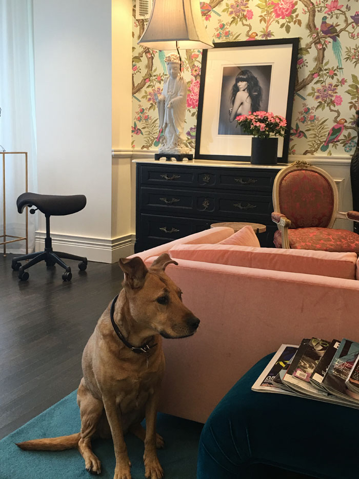 Choupette's Favorite Places & Spaces Salon Ruggeri