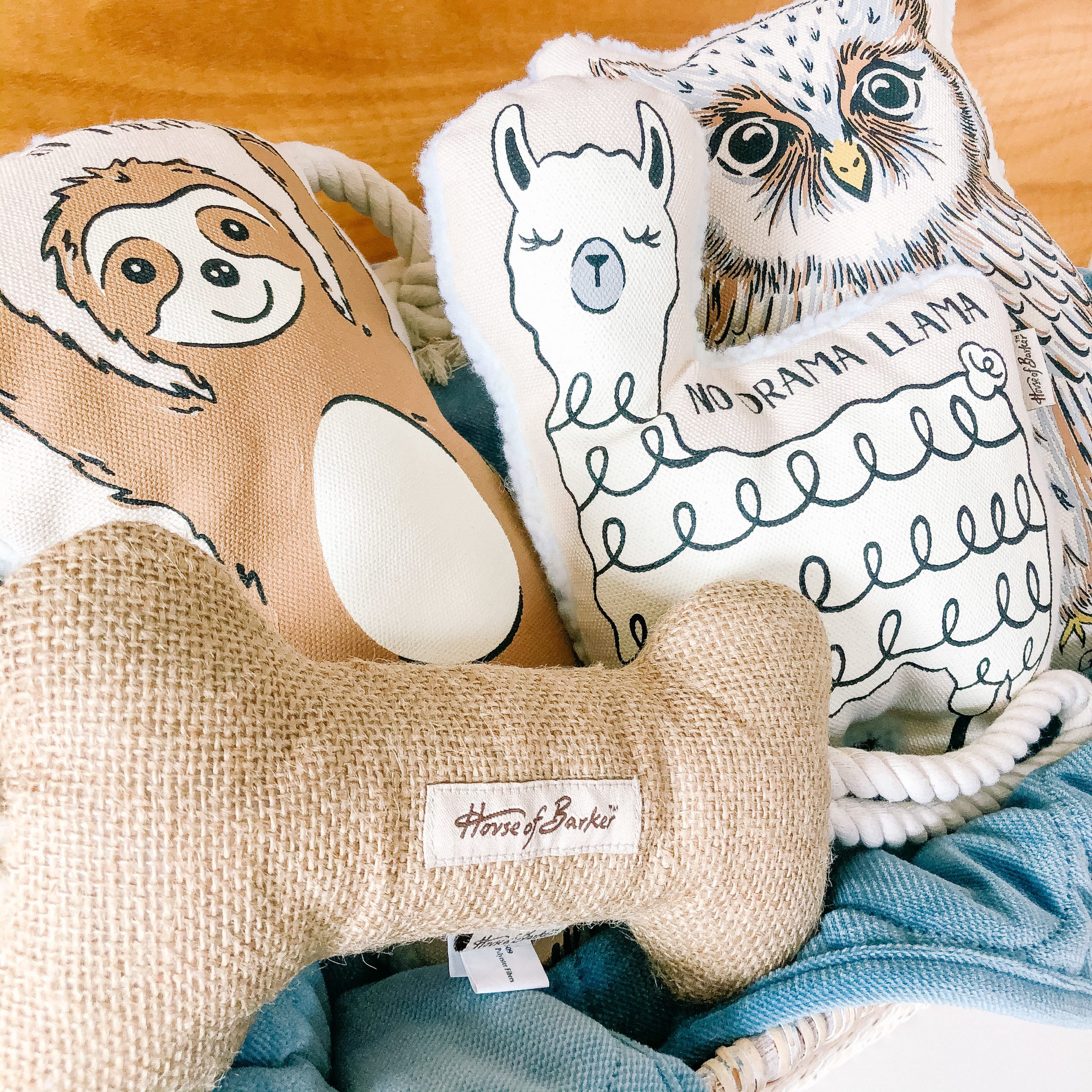 PetBarn Goes Luxe! Everything We Want From Their Exclusive New Range