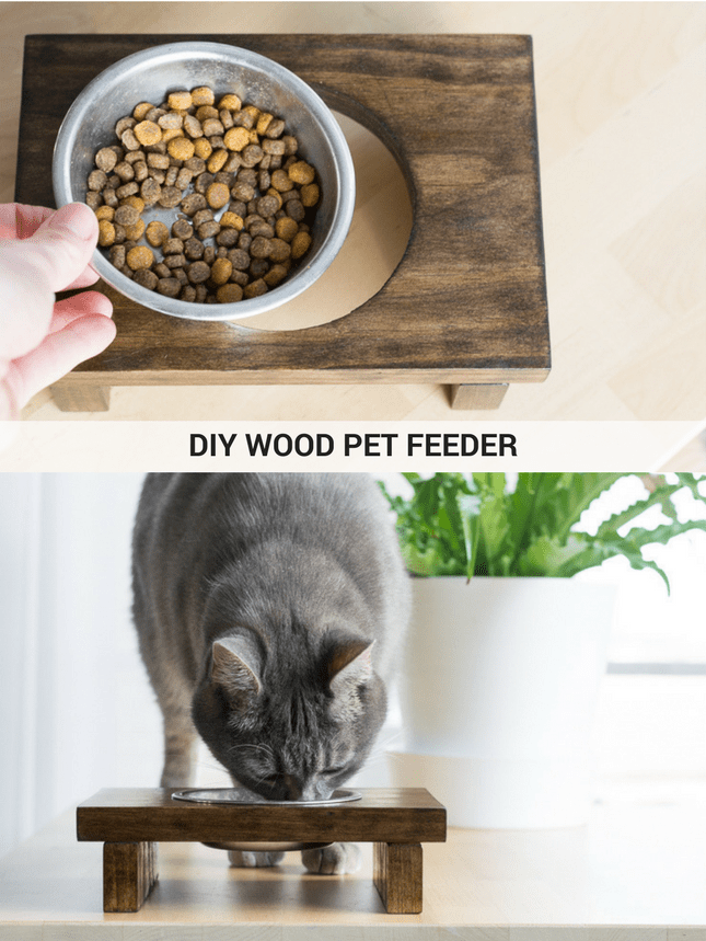 DIY Wooden Raised Pet Feeder
