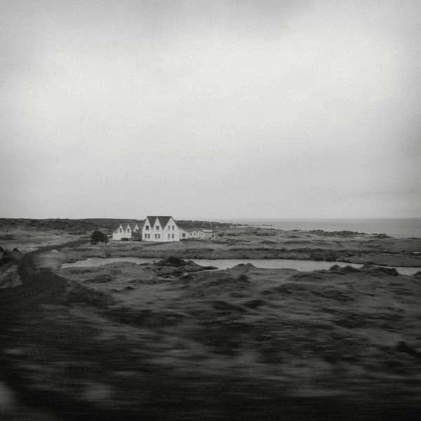 Feral & Stray – Between You And The Sea