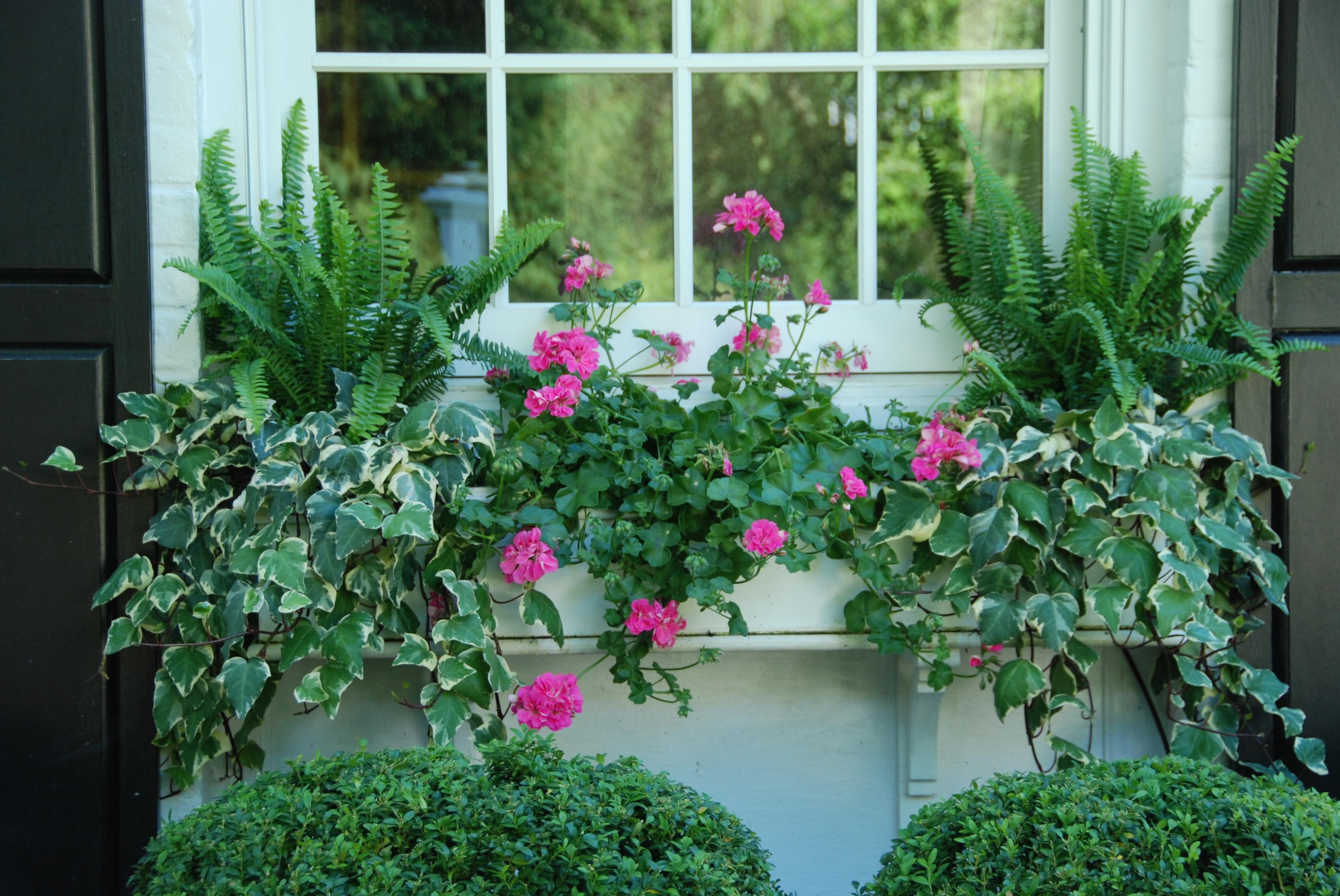 Friday Flowers Late Spring/Early Summer