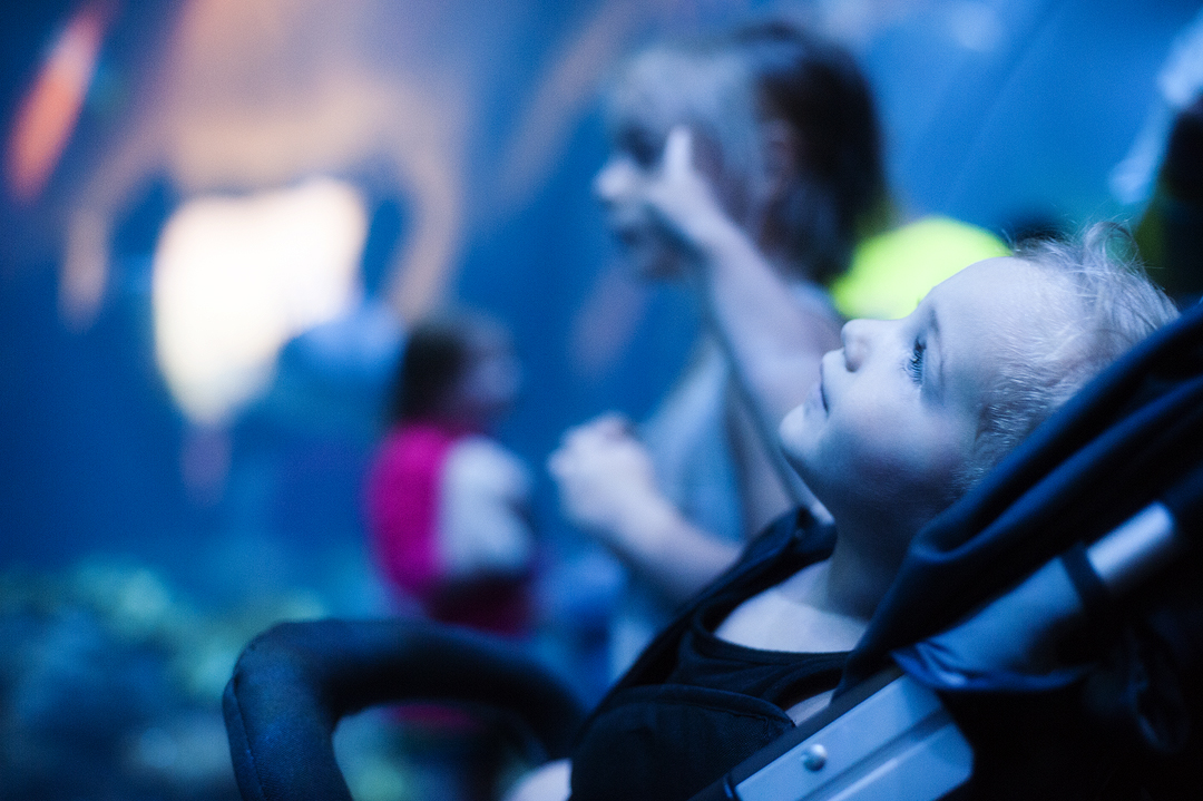 chicago style pretty plain janes