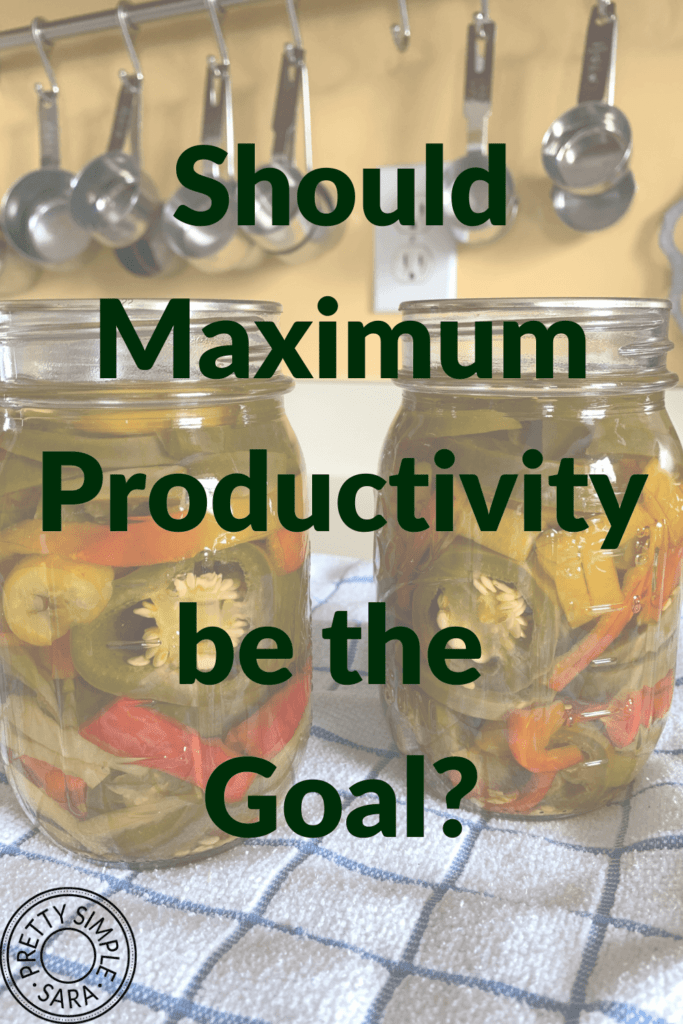 Should Maximum Productivity be the Goal? • Pretty Simple Sara