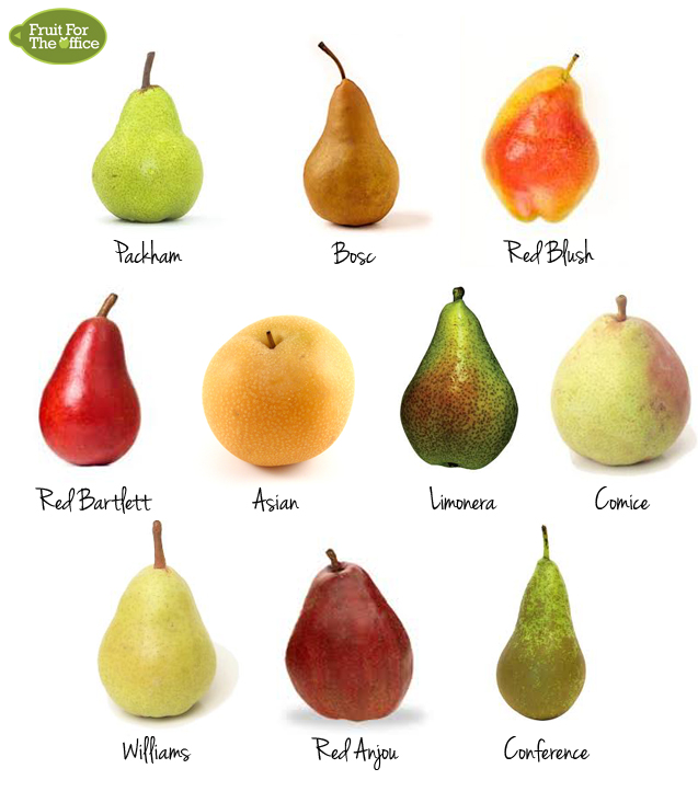 Are Your Pears Ripe? How to Tell + Make a Pear Ripen Faster!
