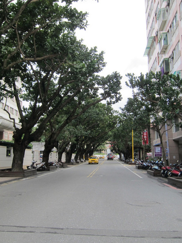 20121226_花蓮市_瓊崖海棠 + 將軍府