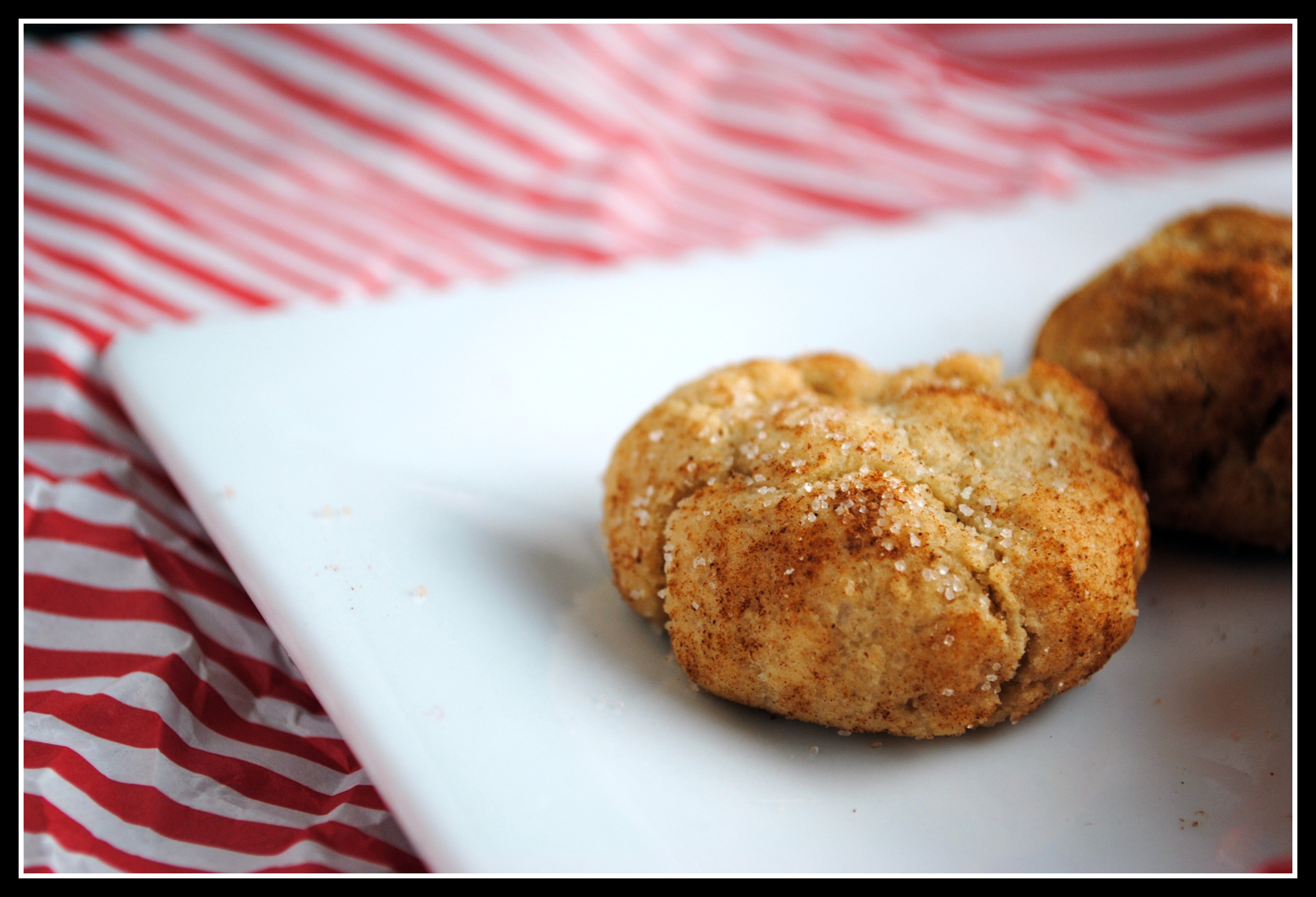 Skinny Whole Wheat Snickerdoodles Prevention RD