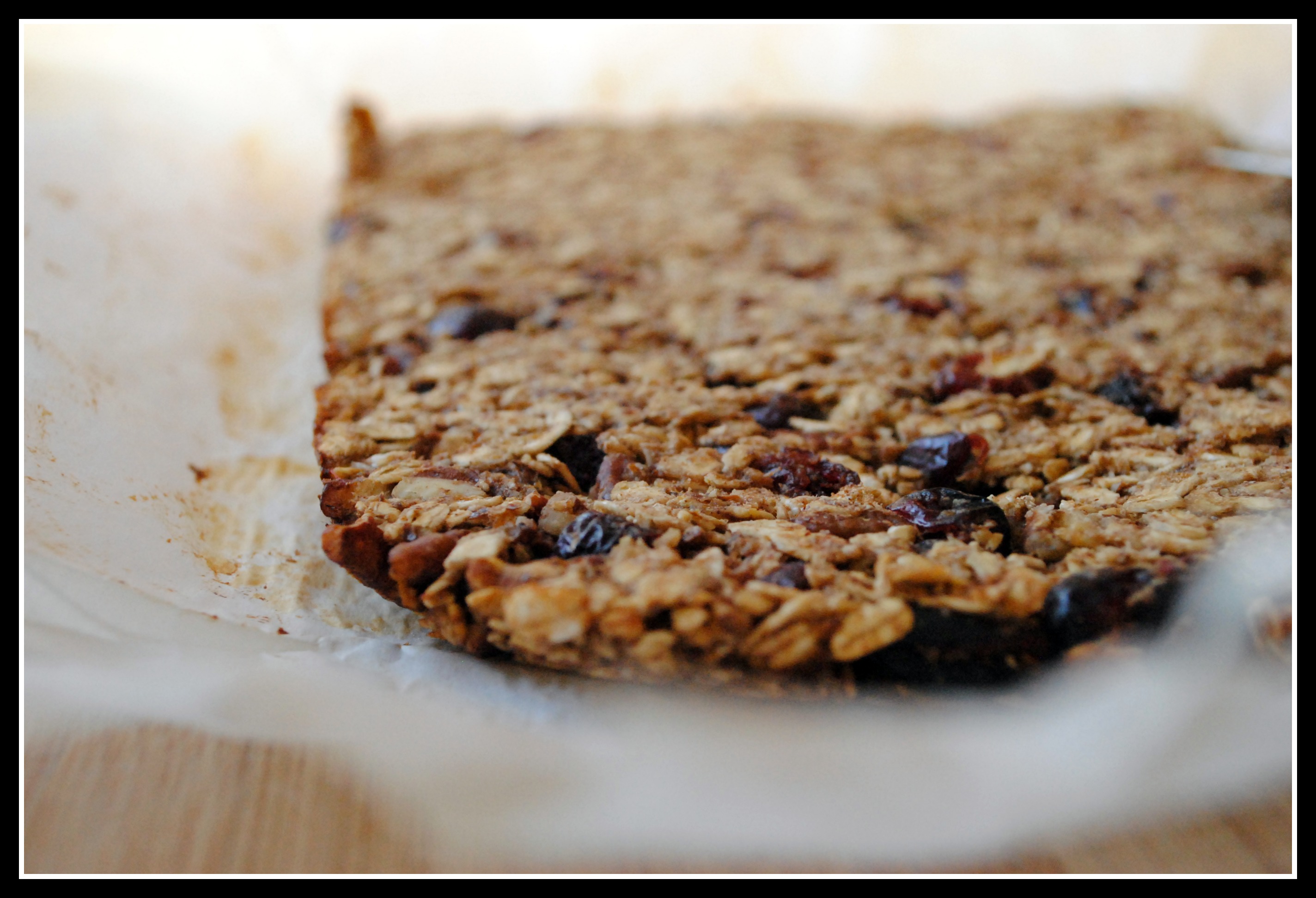 Granola Bars with Bananas, Cranberries & Pecans Prevention RD