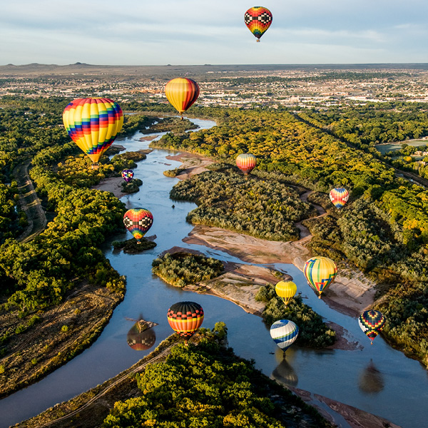 Service Area Albuquerque Pest Removal Commercial & Residential