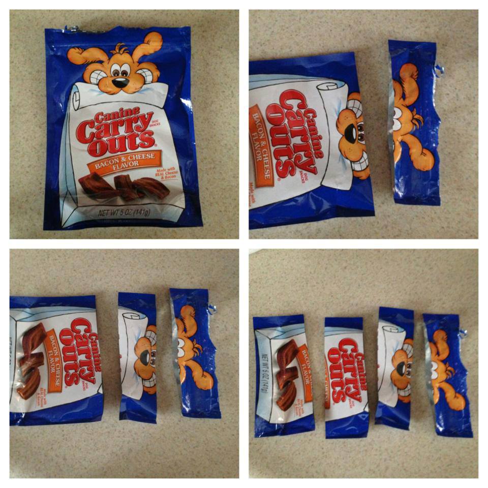 Infographics Prevent Pet Suffocation