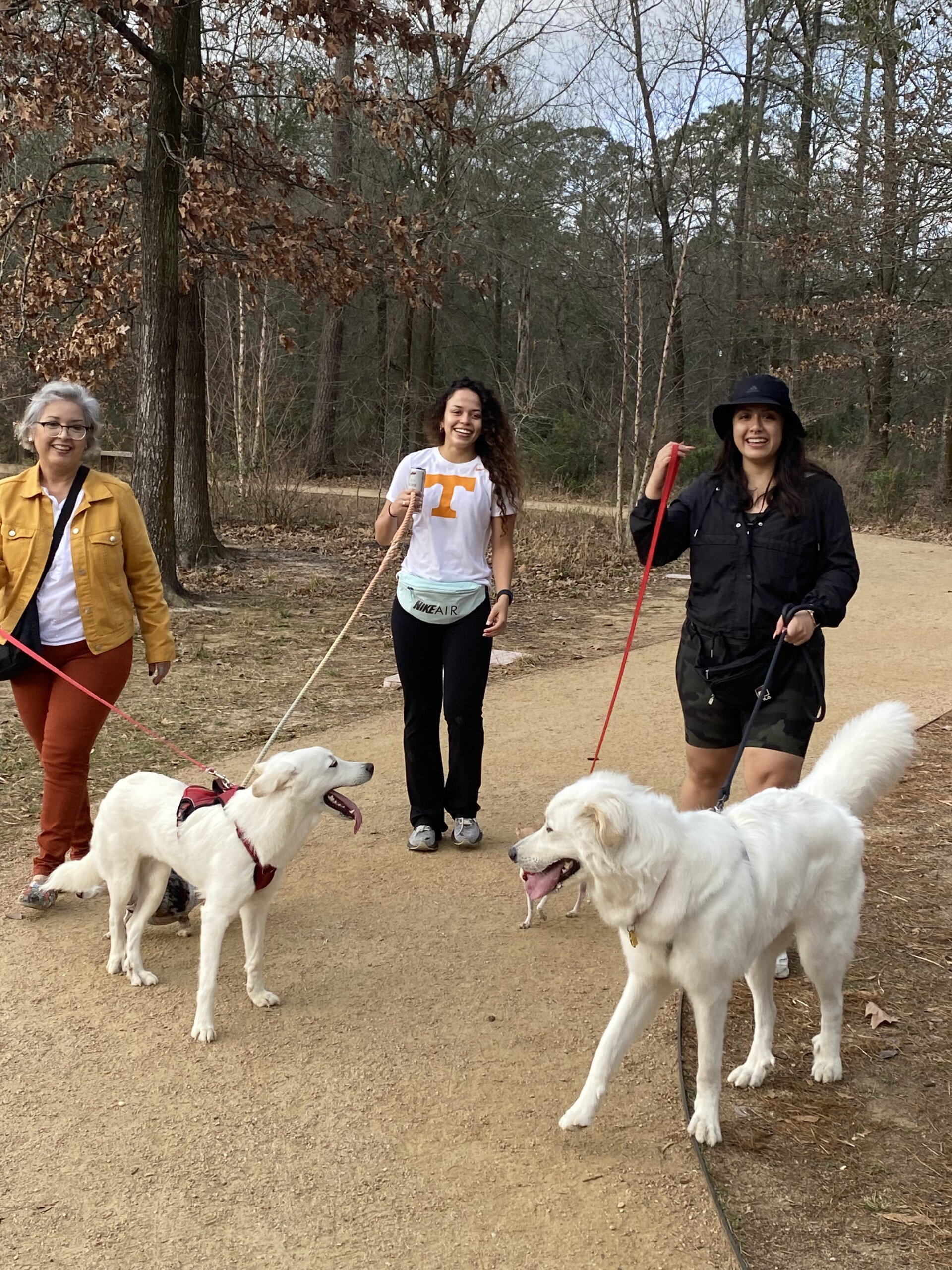 Safety Tips for Pet Sitters and Dog Walkers Prevent Pet Suffocation