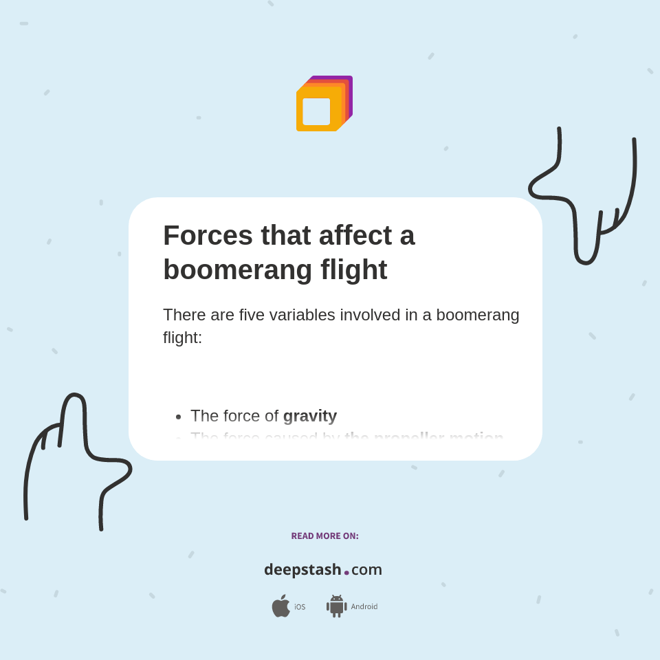 Forces that affect a boomerang flight Deepstash