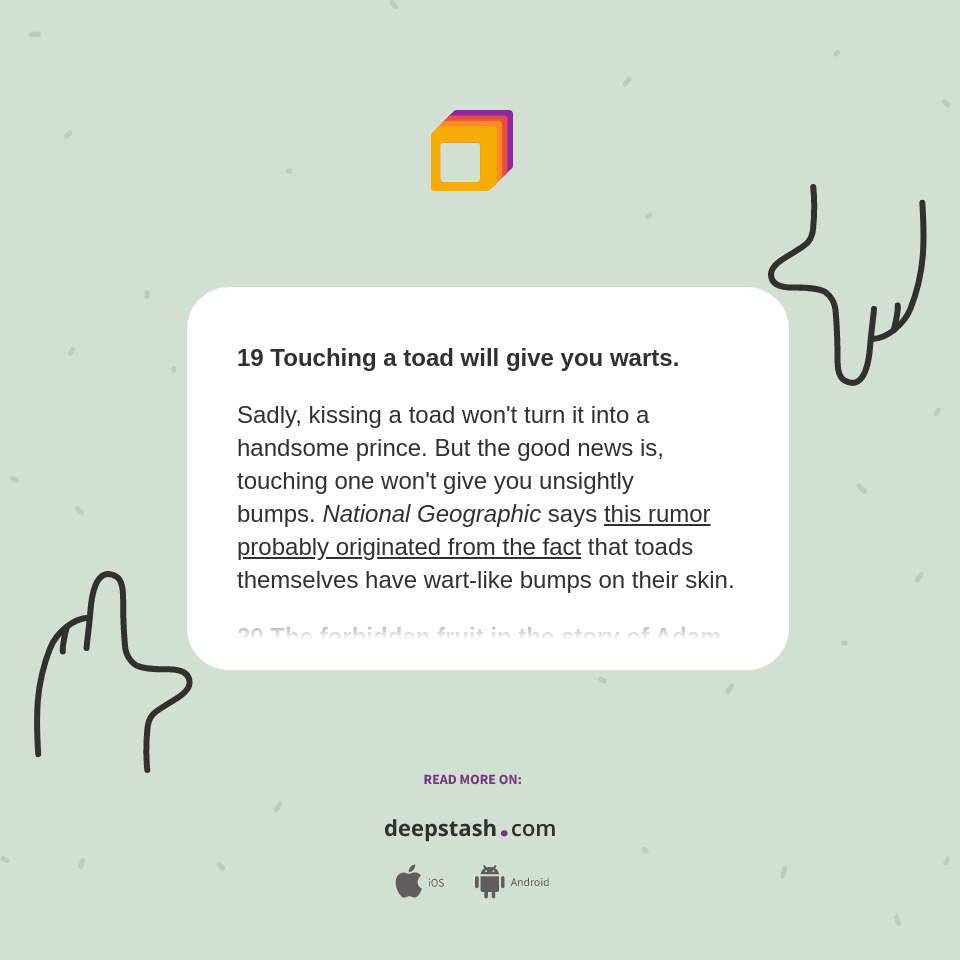 19 Touching a toad will give you warts.... Deepstash