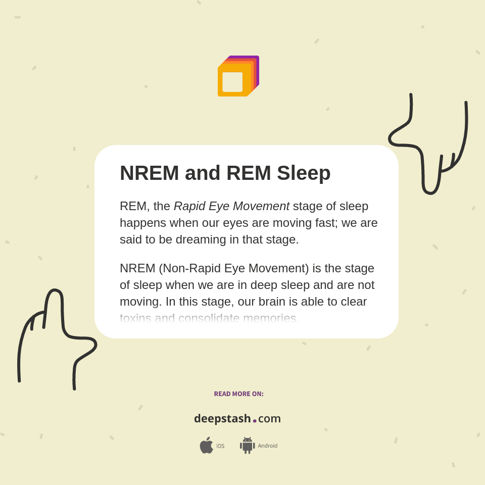 NREM and REM Sleep Deepstash