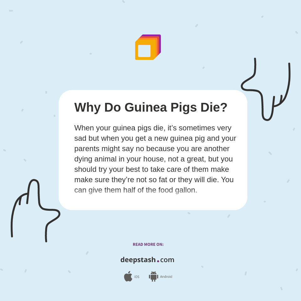 Why Do Guinea Pigs Die? Deepstash