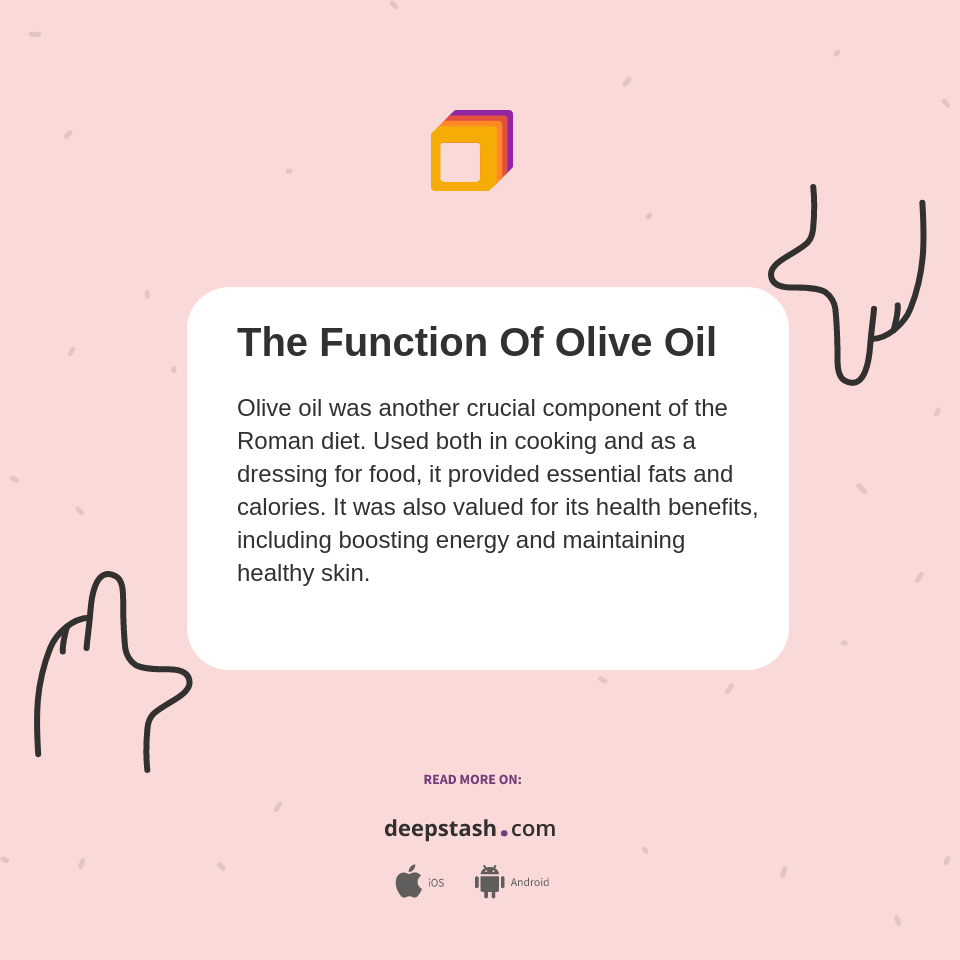 The Function Of Olive Oil Deepstash