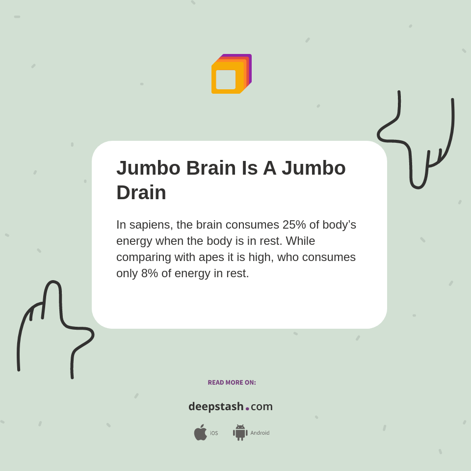 Jumbo Brain Is A Jumbo Drain Deepstash