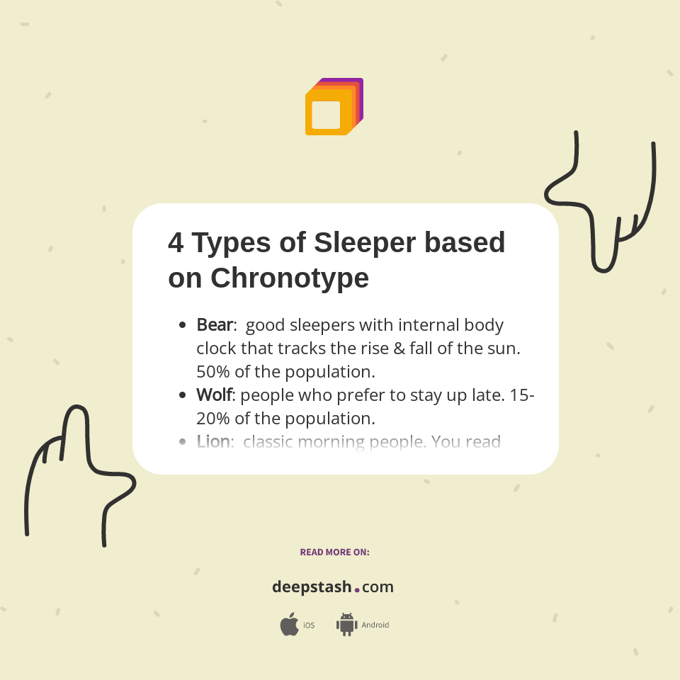 4 Types of Sleeper based on Chronotype Deepstash