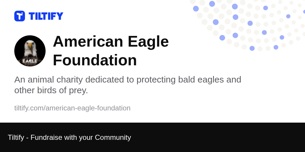 Tiltify American Eagle Foundation